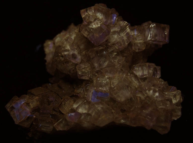 Calcite with Bitumen from Kentucky Stone Quarry, Flemingsburg, Fleming County, Kentucky