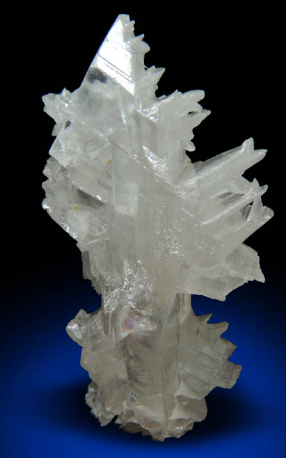 Cerussite (reticulated crystals) from Nakhlak Mine, Anarak District, Esfahan Province, Iran