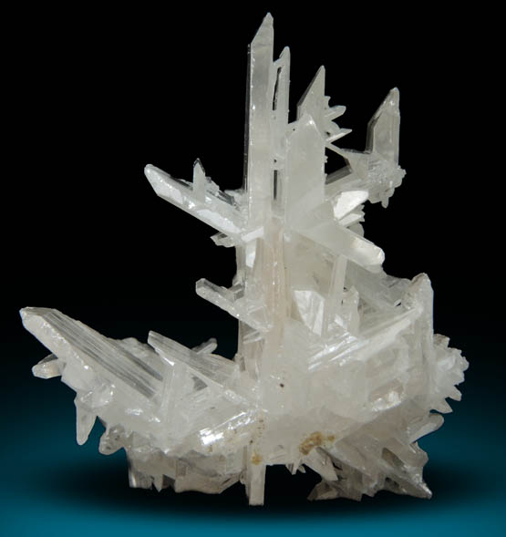 Cerussite (reticulated crystals) from Nakhlak Mine, Anarak District, Esfahan Province, Iran