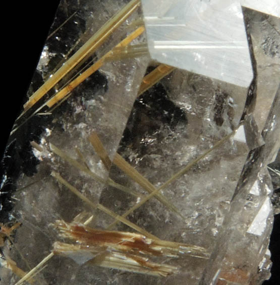 Quartz with Rutile inclusions (Rutilated Quartz) with Hematite from Novo Horizonte, Bahia, Brazil