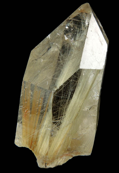 Quartz with Rutile inclusions (Rutilated Quartz) from Novo Horizonte, Bahia, Brazil