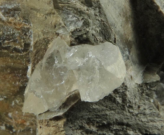 Shortite in shale from FMC Westvaco Mine, Green River Formation, west of Green River, Sweetwater County, Wyoming