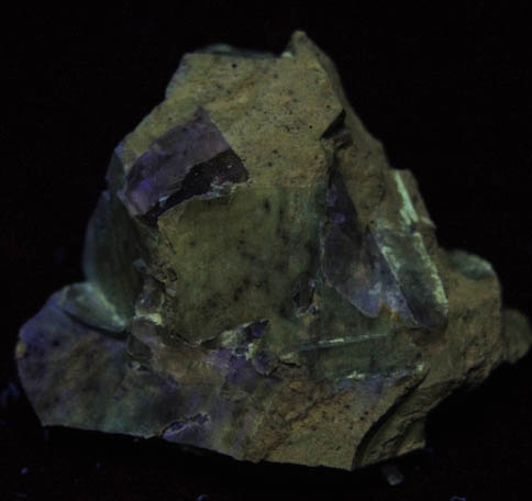 Shortite in shale from FMC Westvaco Mine, Green River Formation, west of Green River, Sweetwater County, Wyoming