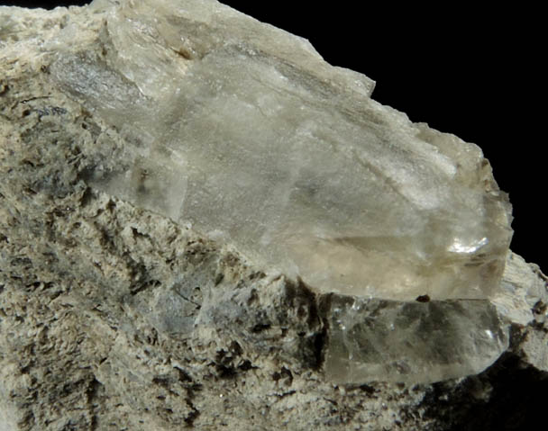 Shortite in shale from FMC Westvaco Mine, Green River Formation, west of Green River, Sweetwater County, Wyoming