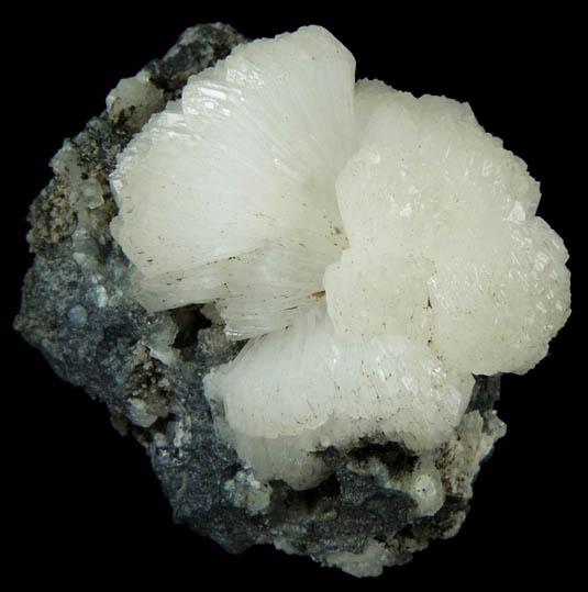 Stilbite on Calcite from Braen's Quarry, Haledon, Passaic County, New Jersey