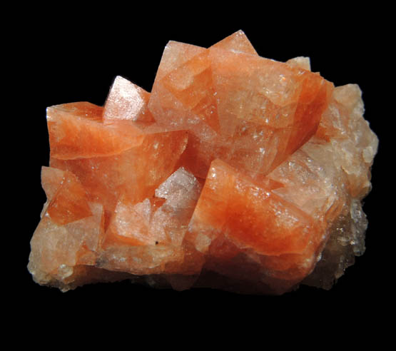 Chabazite var. Acadialite from Wasson's Bluff, Parrsboro, Nova Scotia, Canada