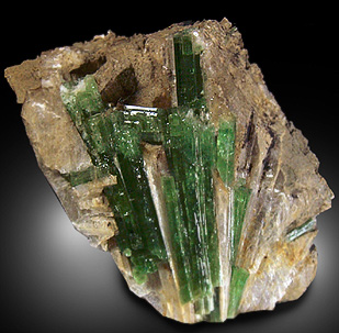 Elbaite Tourmaline in Muscovite from Keith Quarry, Mt. Apatite, Auburn, Maine