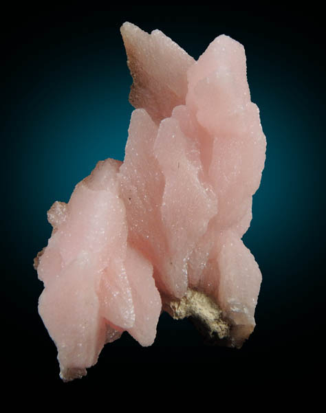 Calcite var. Manganocalcite from Wessels Mine, Kalahari Manganese Field, Northern Cape Province, South Africa
