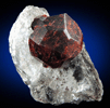 Spessartine-Almandine Garnet from Leiper's Quarry, Avondale, Delaware County, Pennsylvania