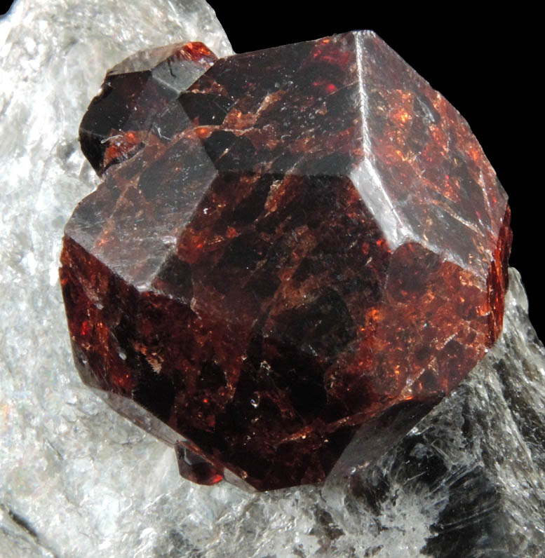 Spessartine-Almandine Garnet from Leiper's Quarry, Avondale, Delaware County, Pennsylvania