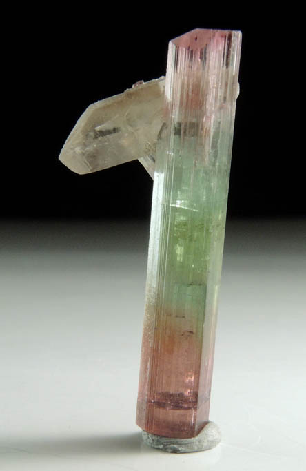 Elbaite Tourmaline with Quartz from Himalaya Mine, Mesa Grande District, San Diego County, California