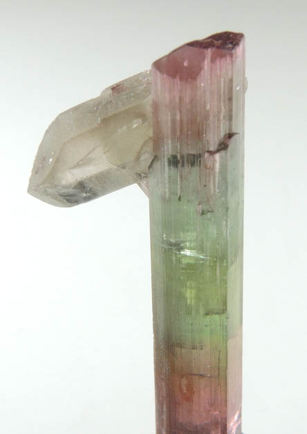 Elbaite Tourmaline with Quartz from Himalaya Mine, Mesa Grande District, San Diego County, California