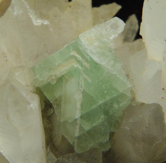 Fluorite on Quartz from William Wise Mine, Westmoreland, Cheshire County, New Hampshire