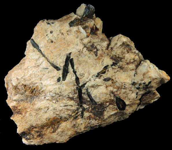 Arfvedsonite (rare terminated crystal) on Microcline from Hurricane Mountain, east of Intervale, Carroll County, New Hampshire