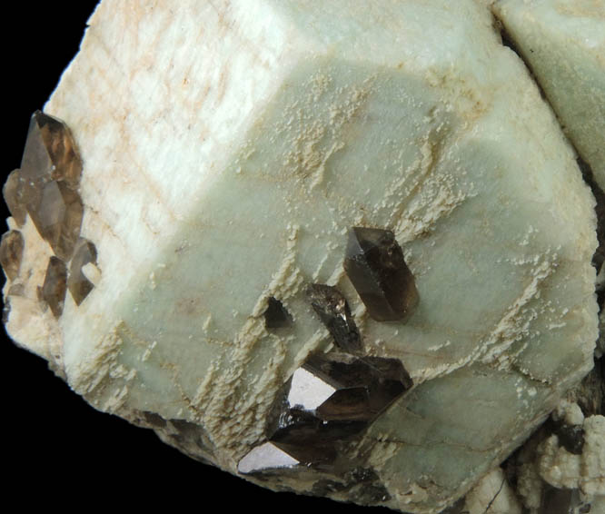 Microcline var. Amazonite with Smoky Quartz from Moat Mountain, west of North Conway, Carroll County, New Hampshire