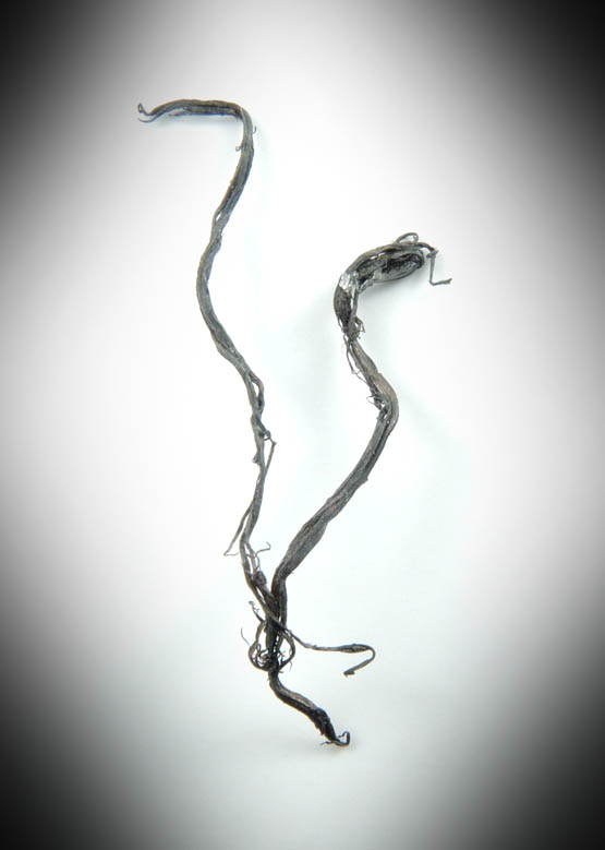 Silver (wire crystals) from Sarbaiskii Mine, Kustanai, Kazakhstan