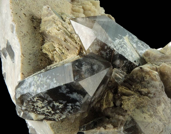Quartz var. Smoky Quartz with Albite, Muscovite, Microcline from Moat Mountain, west of North Conway, Carroll County, New Hampshire