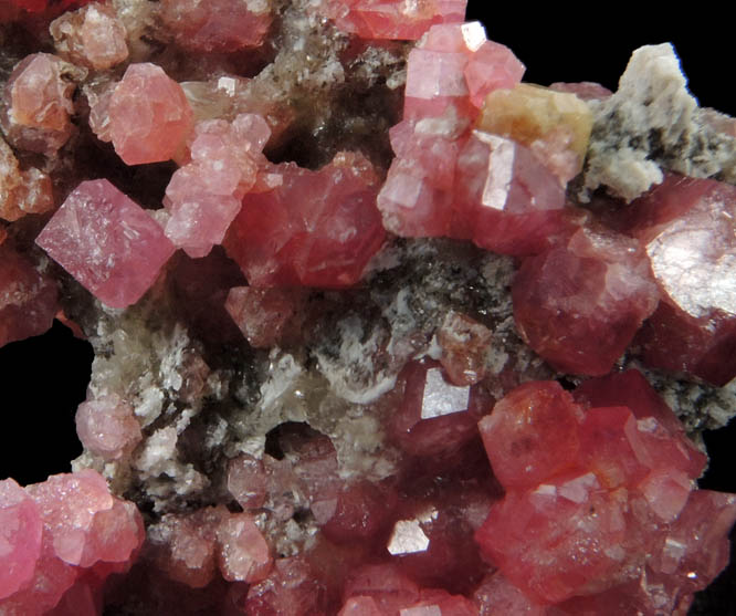 Grossular Garnet with Vesuvianite from Sierra de Cruces, east of Laguna de Jaco, near Hercules, Coahuila, Mexico