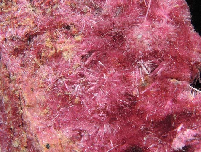 Erythrite from Mount Cobalt Mine, Mount Isa-Cloncurry District, Queensland, Australia