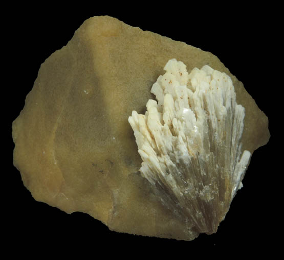 Barite on Calcite from Isle of Sheppey, Kent, England