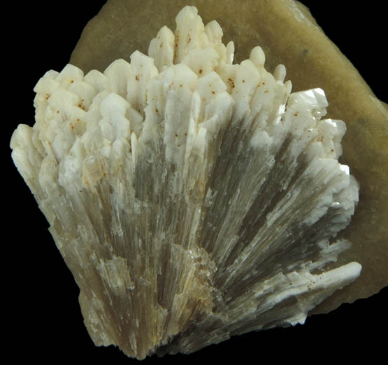 Barite on Calcite from Isle of Sheppey, Kent, England