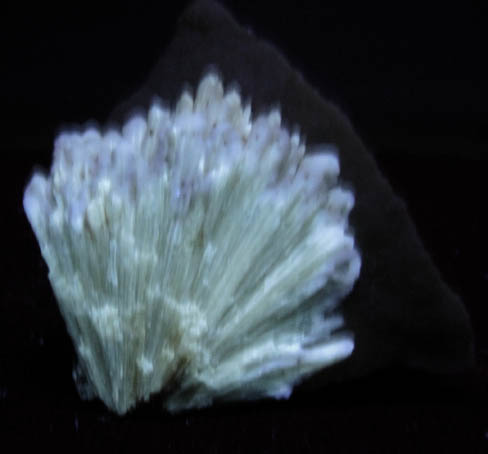 Barite on Calcite from Isle of Sheppey, Kent, England
