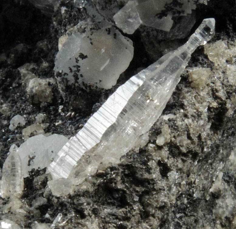 Quartz var. Tessin habit with Magnesite from Becker Quarry, West Willington, Tolland County, Connecticut
