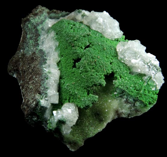 Austinite var. Cuprian Austinite over Adamite with Calcite from Mina Ojuela, Mapimi, Durango, Mexico