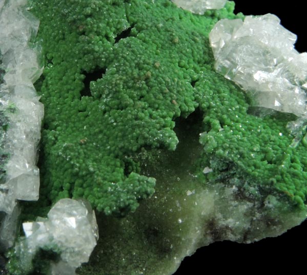 Austinite var. Cuprian Austinite over Adamite with Calcite from Mina Ojuela, Mapimi, Durango, Mexico