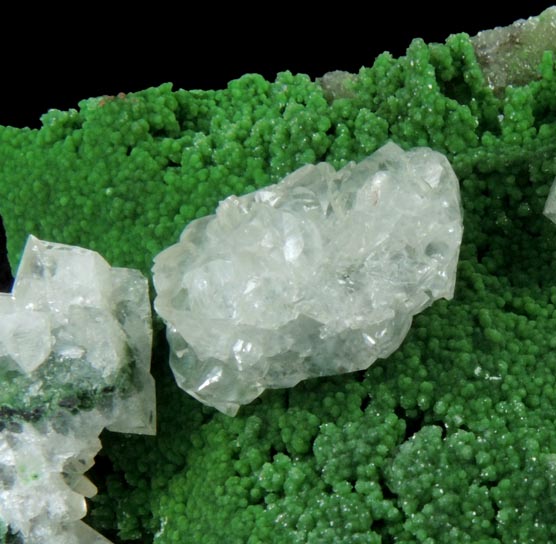 Austinite var. Cuprian Austinite over Adamite with Calcite from Mina Ojuela, Mapimi, Durango, Mexico