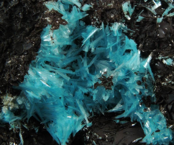 Aurichalcite from 79 Mine, Banner District, near Hayden, Gila County, Arizona