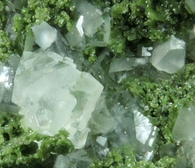 Duftite and Calcite from Tsumeb Mine, Otavi-Bergland District, Oshikoto, Namibia (Type Locality for Duftite)