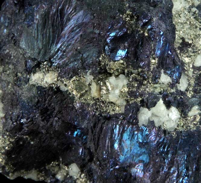 Covellite with Chalcopyrite-Pyrite from Bisbee, Warren District, Cochise County, Arizona