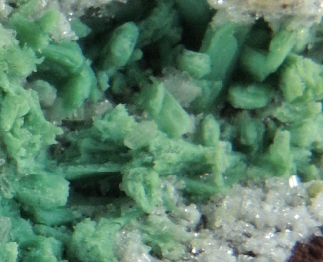 Chrysocolla pseudomorphs after Hemimorphite from Guzmn, Chihuahua, Mexico