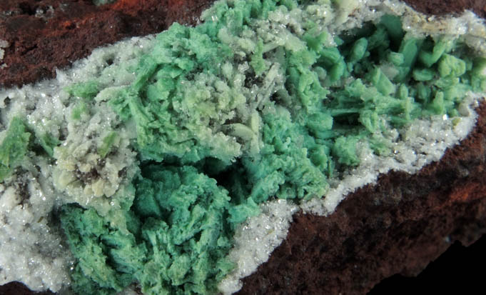 Chrysocolla pseudomorphs after Hemimorphite from Guzmn, Chihuahua, Mexico