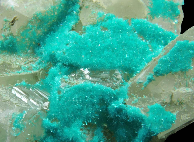 Dioptase on Calcite from Christmas Mine, Banner District, Gila County, Arizona