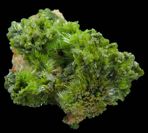 Pyromorphite from Saint-Salvy, Tarn, Midi-Pyrnes, France