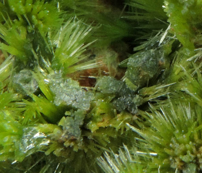 Pyromorphite from Saint-Salvy, Tarn, Midi-Pyrnes, France