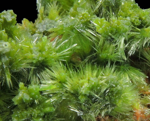 Pyromorphite from Saint-Salvy, Tarn, Midi-Pyrnes, France