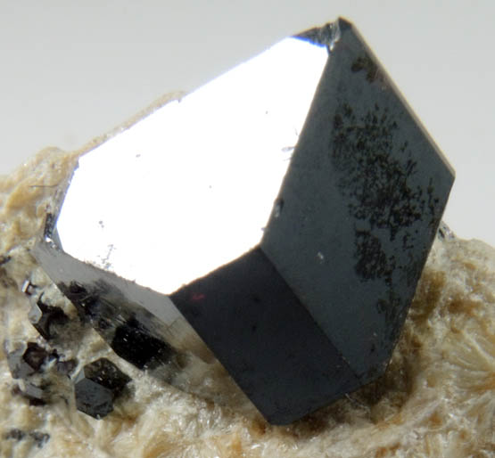 Rutile on Pyrophyllite from Champion Mine, 6 km WSW of White Mountain Peak, White Mountains, Mono County, California