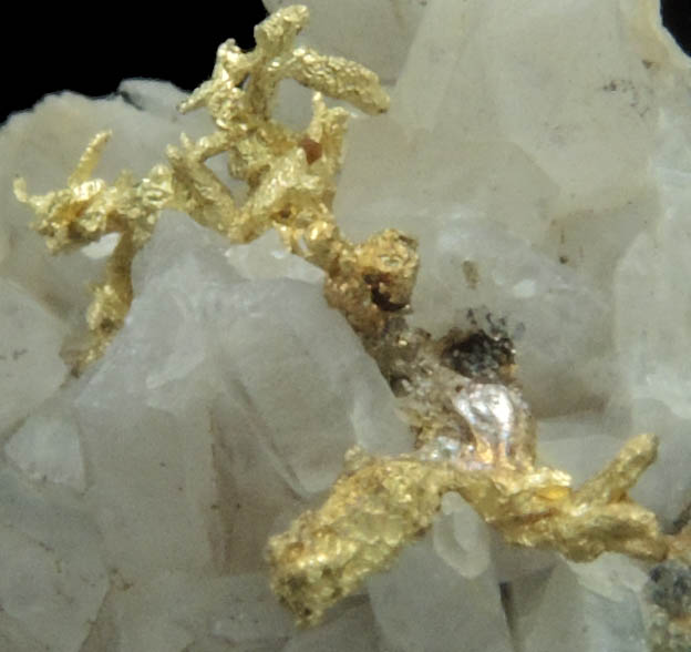 Gold on Quartz from Butte Mining District, Summit Valley, Silver Bow County, Montana