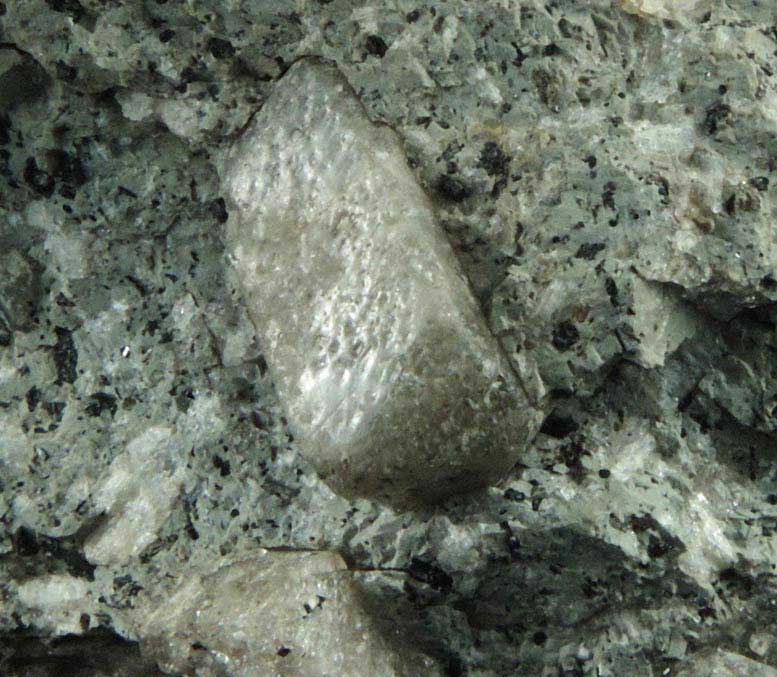 Sanidine phenocrysts in trachyte porphyry from City Creek Canyon, Salt Lake City, Salt Lake County, Utah