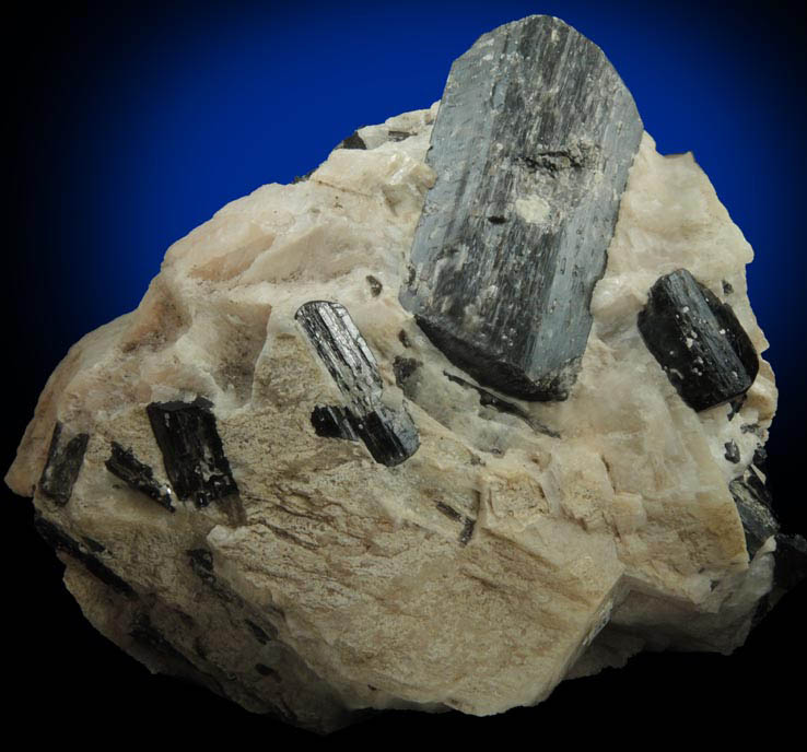 Fluoro-richterite (Fluororichterite) in Calcite from Wilberforce, Ontario, Canada