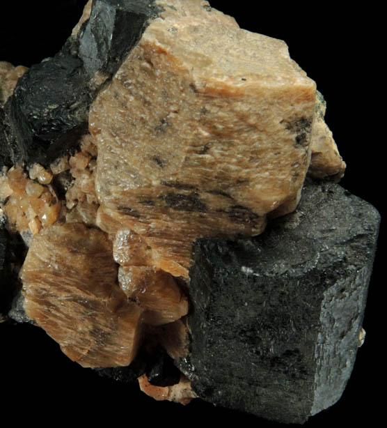 Augite and Orthoclase from Highway 62 road cut, near Bancroft, Ontario, Canada