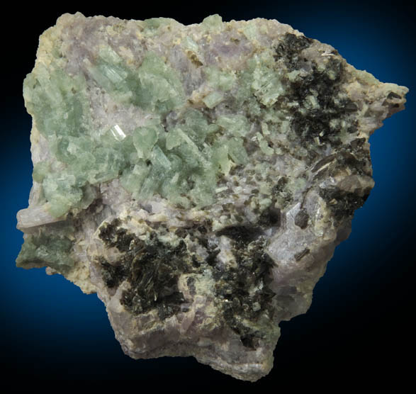 Tremolite on Scapolite (Marialite-Meionite) from south of Gooderham, Ontario, Canada