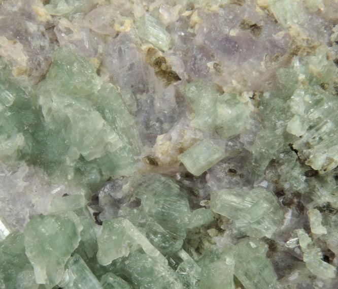 Tremolite on Scapolite (Marialite-Meionite) from south of Gooderham, Ontario, Canada