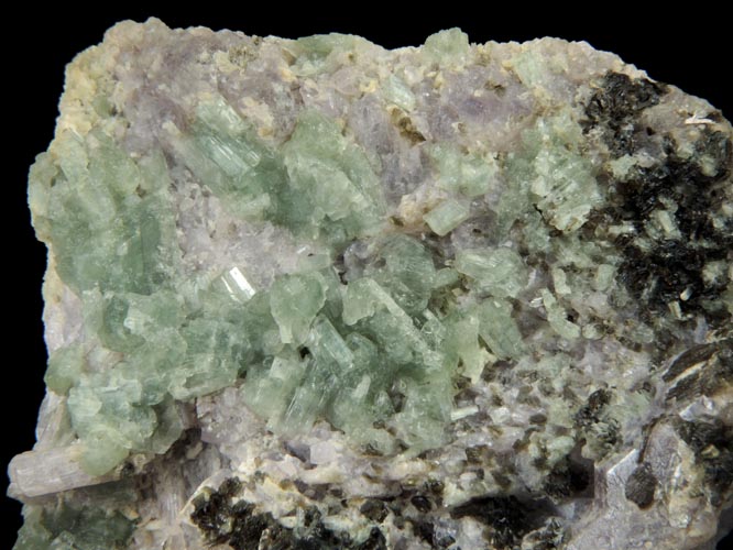 Tremolite on Scapolite (Marialite-Meionite) from south of Gooderham, Ontario, Canada
