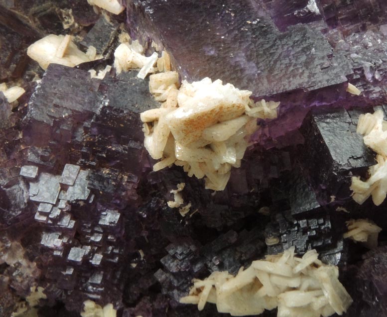 Fluorite with Barite from Rosiclare District, Hardin County, Illinois