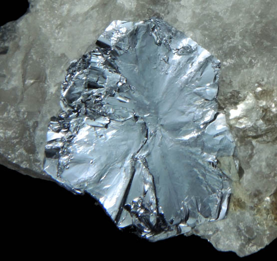 Molybdenite in Quartz from Moly Hill Mine, La Motte Township, Qubec, Canada