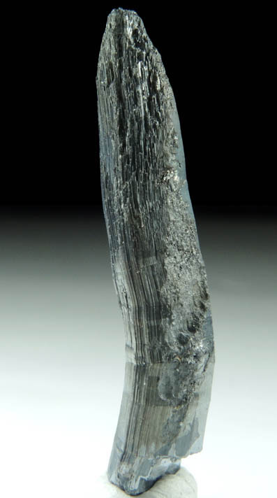 Stibnite (distorted crystal) from Xikuangshan, 12 km northeast of Lengshuijiang, Hunan Province, China